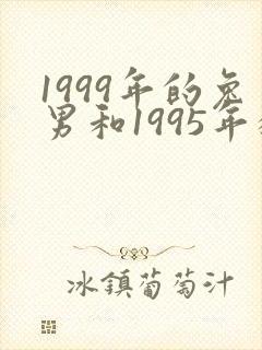 1999年的兔男和1995年猪能结婚吗