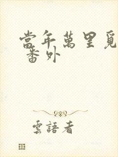 当年万里觅封侯 番外
