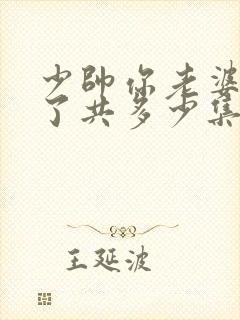 少帅你老婆又跑了共多少集