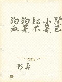 狗狗细小开始拉血是不是已经后期了