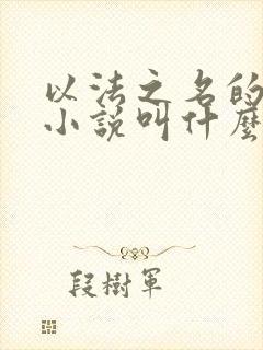以法之名的原著小说叫什么