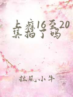 上瘾16至20集拍了吗