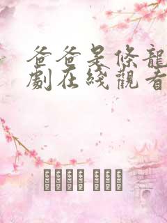 爸爸是条龙电视剧在线观看