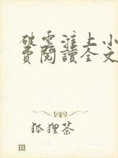 破云淮上小说免费阅读全文无删减