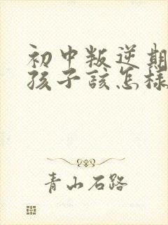 初中叛逆期的男孩子该怎样去沟通教育