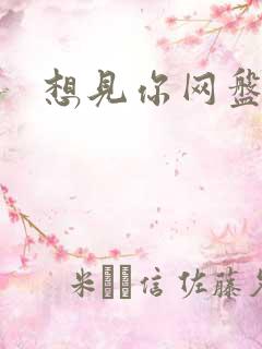 想见你网盘资源