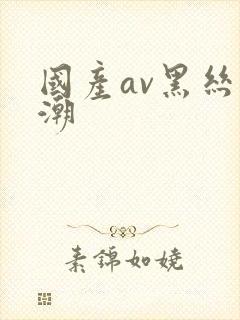 国产av黑丝高潮