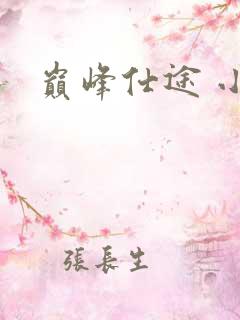 巅峰仕途 小说