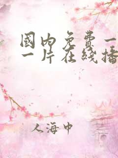 国内免费一级a一片在线播放