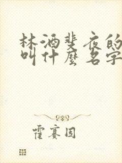 林酒斐夜的小说叫什么名字