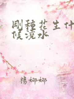 刚种花生什么时候浇水