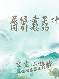 尿绿黄是什么原因引起的