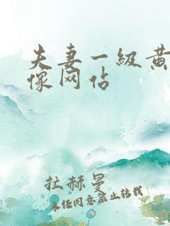 夫妻一级黄色录像网站