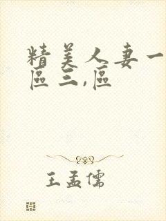 精美人妻一区二区三,区