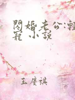 闪婚老公:轻点宠 小说
