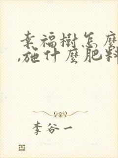 幸福树怎么施肥,施什么肥料