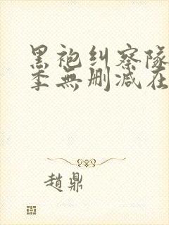 黑袍纠察队第四季无删减在线