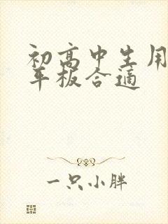 初高中生用什么平板合适