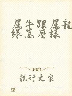 属牛跟属龙的姻缘怎么样