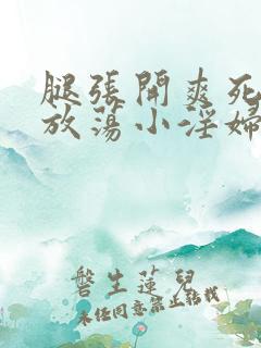腿张开爽死你个放荡小淫妇