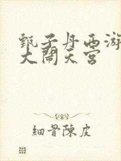 甄子丹西游记之大闹天宫