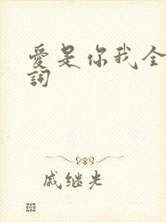 爱是你我全部歌词