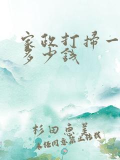 家政打扫一小时多少钱