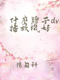 什么牌子dvd播放机好