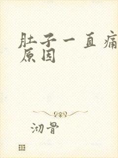 肚子一直痛什么原因