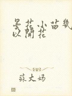 昙花小苗几年可以开花