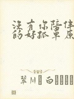 没有你陪伴我真的好孤单原唱歌词