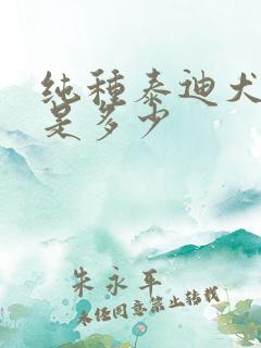 纯种泰迪犬价格是多少