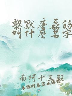 黎默唐磊的小说叫什么名字