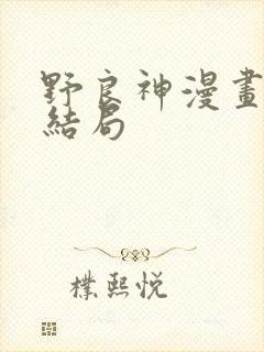 野良神漫画最后结局