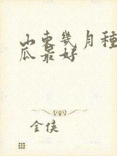 山东几月种秋黄瓜最好