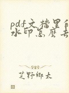 pdf文档里的水印怎么去除