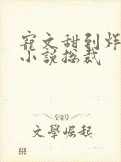 宠文甜到炸无虐小说总裁