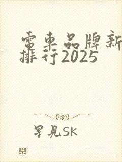 电车品牌新能源排行2025