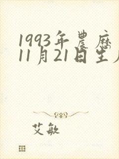 1993年农历11月21日生辰八字