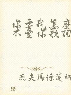 你要我怎么说我不爱你歌词