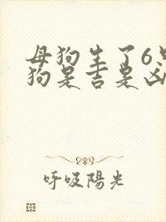 母狗生了6只小狗是吉是凶