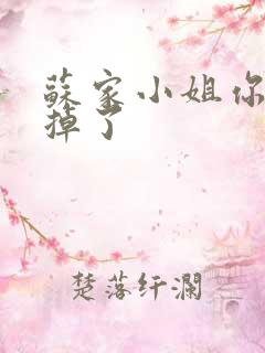 苏家小姐你老公掉了