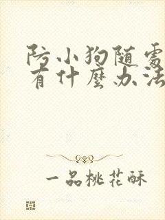 防小狗随处拉尿有什么办法解决