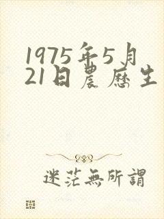 1975年5月21日农历生辰八字