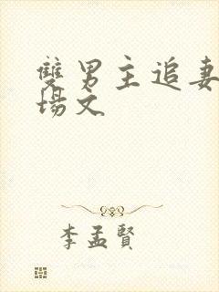 双男主追妻火葬场文
