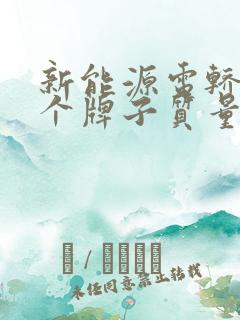 新能源电轿车哪个牌子质量好
