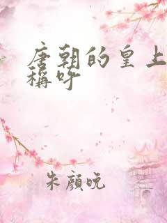 唐朝的皇上怎么称呼