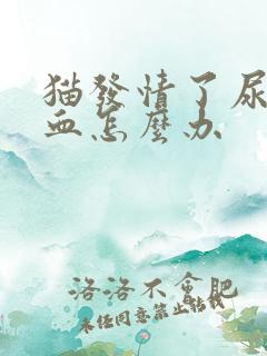 猫发情了尿里有血怎么办