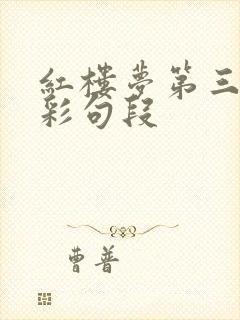 红楼梦第三回精彩句段