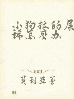 小狗拉的屎有点稀怎么办
